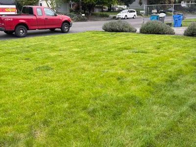 Lawn Care service in Camas, 98607