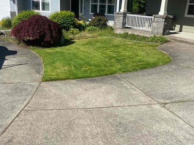 Lawn Care service in Camas, 98607