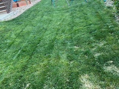 Lawn Care service in Westerly, 02891