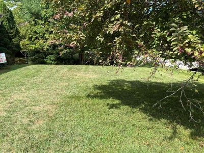 Lawn Care service in Salem, 01970