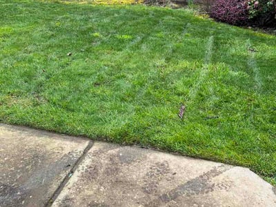Lawn Care service in Ridgefield, 98642