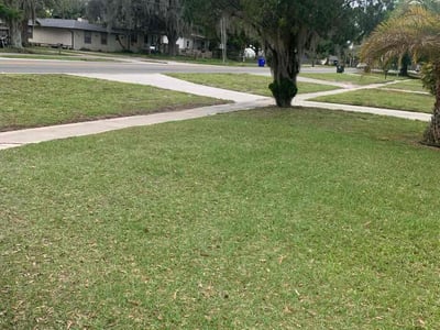 Lawn Care service in Attleboro, 02703