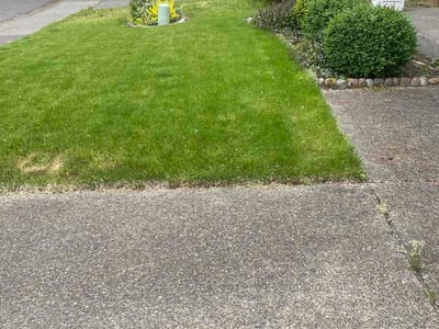 Lawn Care service in Issaquah, 98027