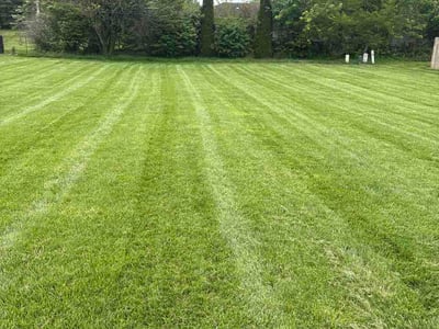 Lawn Care service in Belle Vernon, 15012