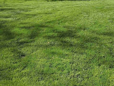 Lawn Care service in New Berlin, 53151