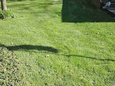 Lawn Care service in New Berlin, 53151