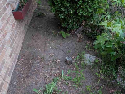 Lawn Care service in Clarksville, 47129