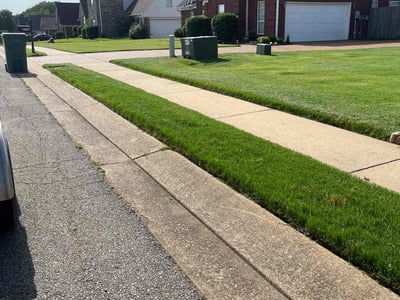 Lawn Care service in Southaven, 38671