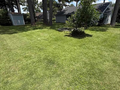 Lawn Care service in Jacksonville, 28540
