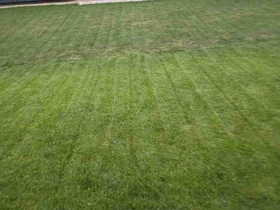 Lawn Care service in Fairfield, 94533