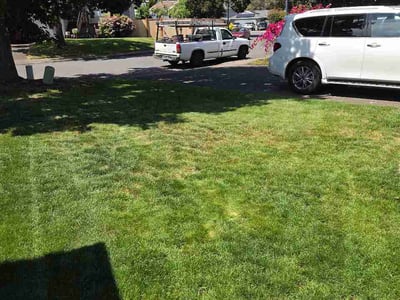 Lawn Care service in West Linn, 97068