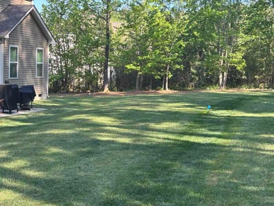 Lawn Care service in Youngsville, 27596
