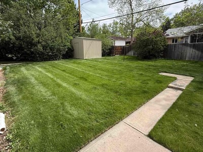 Lawn Care service in Golden, 80401