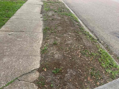 Lawn Care service in Seabrook, 77586