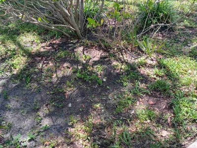 Lawn Care service in Bergen County, 07652