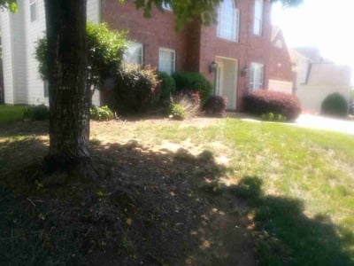 Lawn Care service in Ballantyne, 28277