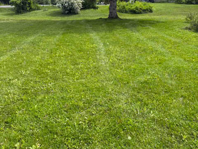 Lawn Care service in Victor, 14564