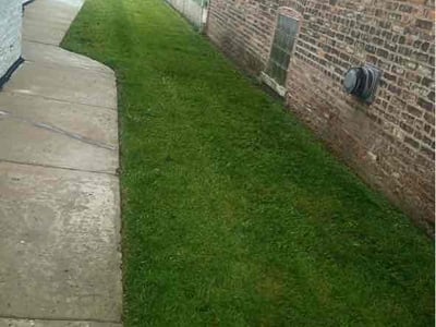 Lawn Care service in Cicero, 60804