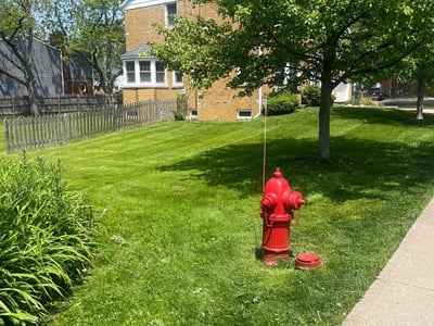 Lawn Care service in Cicero, 60804