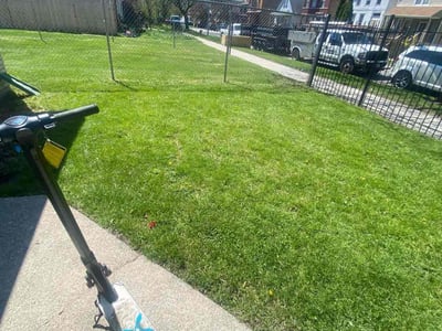 Lawn Care service in Cicero, 60804