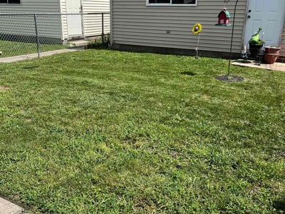 Lawn Care service in Cicero, 60804
