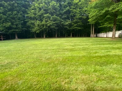 Lawn Care service in Woodbridge, 07095