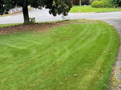 Lawn Care service in Woodbridge, 07095