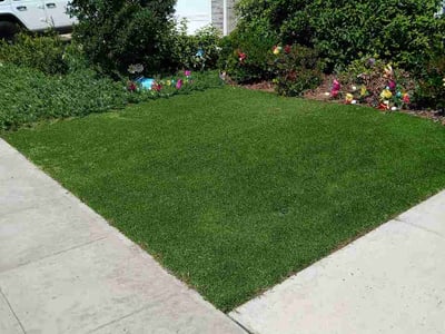 Lawn Care service in Clovis, 93612