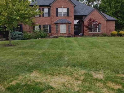 Lawn Care service in Old Orchard Beach, 04064