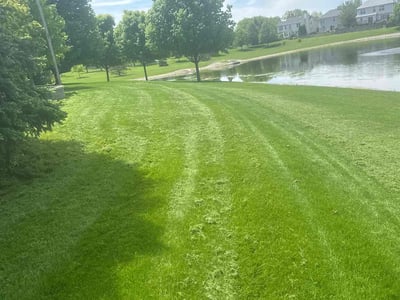 Lawn Care service in Warrenville, 60555