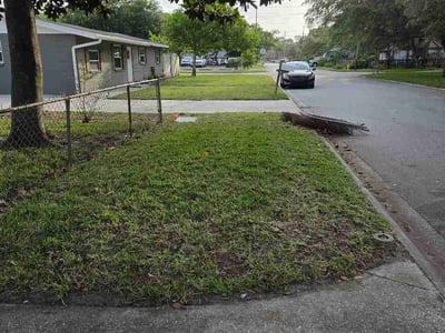 Leaf Removal service in The Villages, 32162