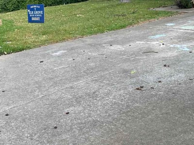 Leaf Removal service in Roseville, 95678