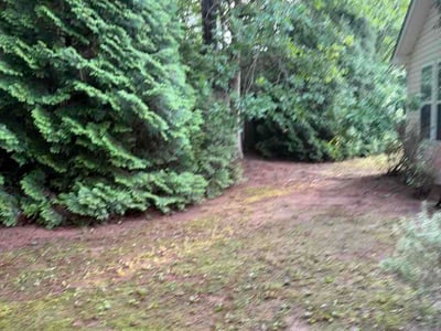 Leaf Removal service in Marietta, 30064