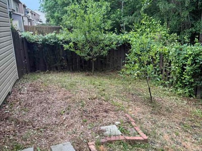 Leaf Removal service in Myrtle Beach, 29577
