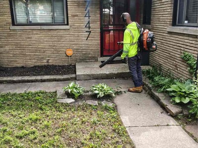 Leaf Removal service in Cape Coral, 33904