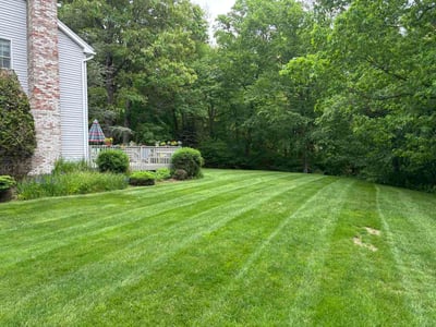 Lawn Care service in Tolland, 06084