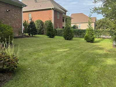 Lawn Care service in Elgin, 29045
