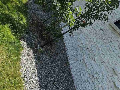 Leaf Removal service in Centennial, 80112