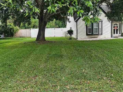 Lawn Care service in Ormond Beach, 32174