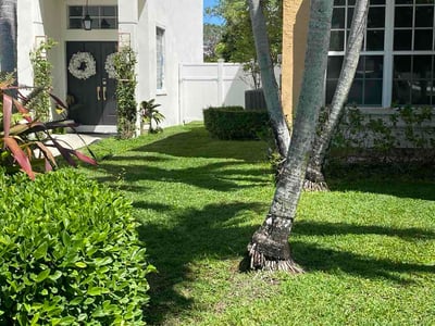 Lawn Care service in Pembroke Pines, 33026