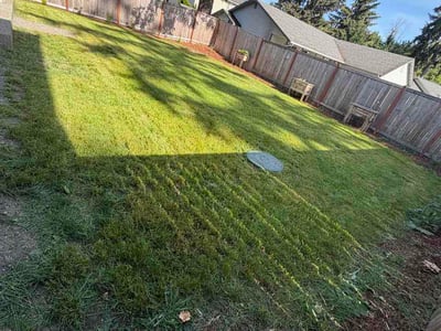Lawn Care service in Olympia, 98501