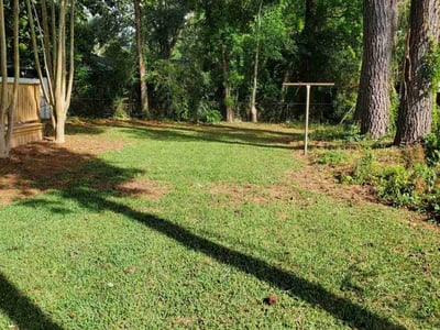 Lawn Care service in Maspeth, 11377