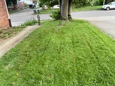 Leaf Removal service in Erie, 16507