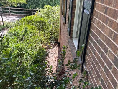 Leaf Removal service in Greenville, 27858