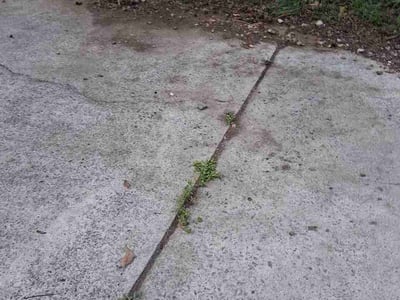 Leaf Removal service in Garner, 27529