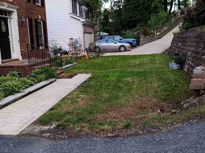 Leaf Removal service in Ashburn, 20147