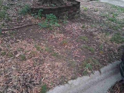 Leaf Removal service in Garner, 27529