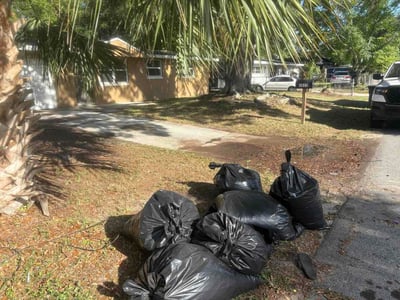 Leaf Removal service in DeLand, 32720