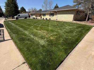 Lawn Care service in Littleton, 80120