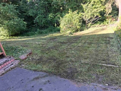 Leaf Removal service in Bellevue, 98004